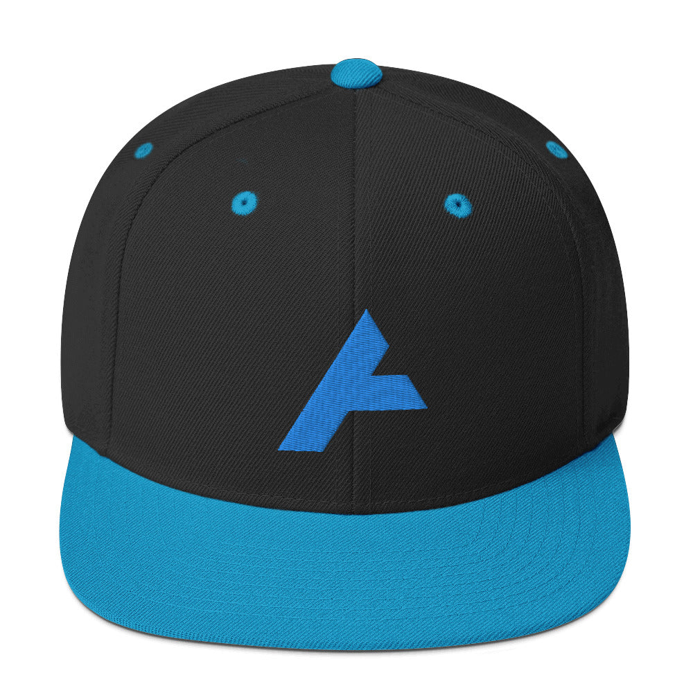 Fisher Agencies Snapback Hat (Black/Teal)